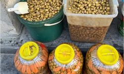 Şanlıurfa'da Depoda 1 ton küflenmiş zeytin bulundu!