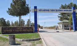 Ceylanpınar Tarım İşletmesi zeytin fidanı alımı yapacak