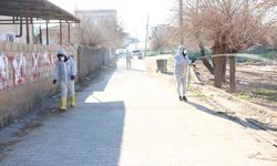 Şanlıurfa Ceylanpınar’da Larva İlaçlama Çalışmaları Başladı