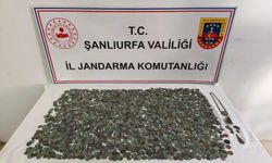 Şanlıurfa’da Tarihi Eser Operasyonu!