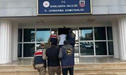 Şanlıurfa Jandarmasından Faili Meçhul Dolandırıcılık Operasyonu