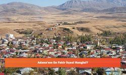 Adana'nın En Fakir İlçesi Hangisi?