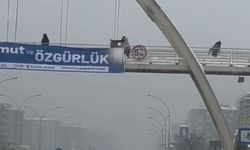 Diyarbakır-Şanlıurfa Bulvarı’nda Çocukları Darp Eden Şahıs Yakalandı