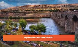 Diyarbakır'da Kaç Tane Göl Var?