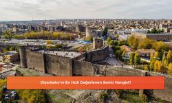 Diyarbakır'ın En Hızlı Değerlenen Semti Hangisi?