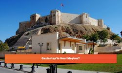Gaziantep'in Nesi Meşhur?