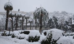 Şanlıurfa’da Kar Kalınlığı Kent Merkezinde 18 Santimetreye Ulaştı