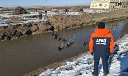 Şanlıurfa Buğdaytepe’de Kaybolmuştu: Acı Haber Suriye’den Geldi