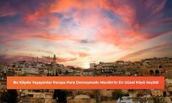 Bu Köyde Yaşayanlar Paraya Para Demeyecek: Mardin'in En Güzel Köyü Seçildi