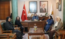 Milletvekili Yazmacı’ya Şanlıurfa’da Yoğun Ziyaret!