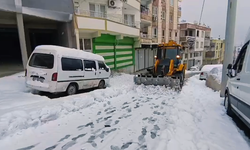 Şanlıurfa Eyyübiye’de Karla Mücadele Seferberliği!