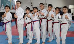 Şanlıurfa Genelinden 230 Sporcu Karaköprü’de Buluştu!