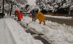Şanlıurfa Haliliye’de Karla Mücadele Tüm Birimleriyle Sürüyor!