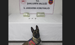 Şanlıurfa Siverek’te Narkotik Operasyonu!