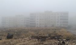 Şanlıurfa’da Sis Ve Yağış Etkisini Artırdı!