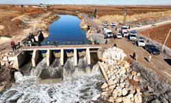 Şanlıurfa’da Sulama Kanalında Arama Çalışmaları Sürüyor!