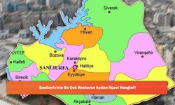 Şanlıurfa'nın En Çok Restoran Açılan İlçesi Hangisi?