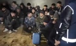 Şanlıurfa'da Dahil 5 İlde Şafak Operasyonu!