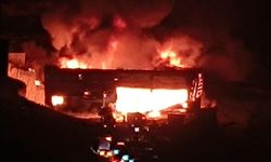 Şanlıurfa Halfeti’de Fabrika Alev Alev Yandı