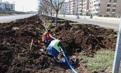 Diyarbakır Şanlıurfa Yolu Kuru Peyzajla Yenileniyor!