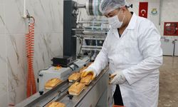 Şanlıurfa’da Glutensiz Ekmek Üretiminde Rekor Rakam!