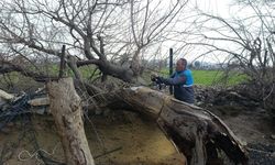 Birecik Belediyesi Park ve Bahçelerde Çalışmalarını Sürdürüyor