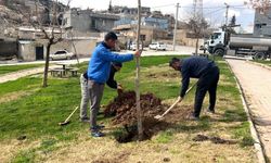 Şanlıurfa Eyyübiye’de Parklar Bahara Hazırlanıyor