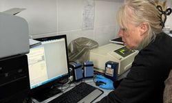 Harran Üniversitesi Ev Sahipliğinde Veteriner Eğitimi Sürüyor