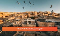Mardin'in En Tehlikeli İlçesi Hangisi?