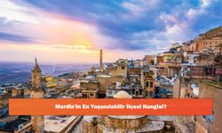 Mardin'in En Yaşanılabilir İlçesi Hangisi?