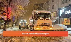 Muş'un En Fakir İlçesi Hangisi?