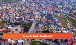 Muş'un En Zengin İlçesi Hangisi?