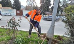 Birecik Belediyesi: Daha Aydınlık ve Güvenli Bir Kent İçin Çalışıyoruz
