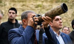 Şanlıurfa Birecik’te 277 Kelaynak Doğaya Salındı