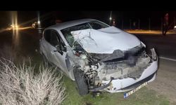 Şanlıurfa Ceylanpınar’da At Arabasına Otomobil Çarptı: 2 Yaralı