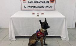 Şanlıurfa Jandarması Narkotik Denetimlerini Sıklaştırdı!