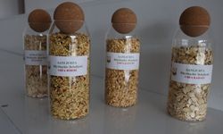 Şanlıurfa Tarımında Yerli Miras: Ata Tohumları İçin Başvurular Açıldı!