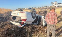 Şanlıurfa’da Devrilen Otomobilde Sürücüyü Pamuk Sapları Kurtardı