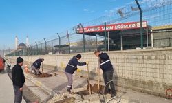 Şanlıurfa’da Yeşil Doku Güçleniyor: Ana Caddelerde Ağaçlandırma Çalışması!
