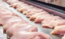 Tavuk Eti İhracatına Kısıtlama Kararı: Üretici ve Tüketici Dengesi Tartışılıyor