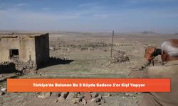 Türkiye'de Bulunan Bu 3 Köyde Sadece 1'er Kişi Yaşıyor