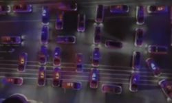 Şanlıurfa Dahil 15 İlde Siber Dolandırıcılara Büyük Darbe!