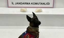 Şanlıurfa’da Narkotik Operasyonu!