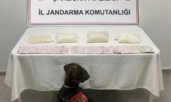 Şanlıurfa İl Jandarma’dan Uyuşturucuya Büyük Darbe!