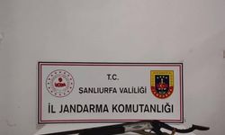 Şanlıurfa’da Jandarmadan Silah Operasyonu