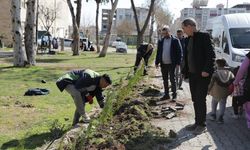 Viranşehir Antin Park’ta Peyzaj Çalışmaları Tamamlandı