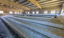 Şanlıurfa'da Yağmur Sonrası Endişe Arttı: Urfa’da Sular Temiz mi?