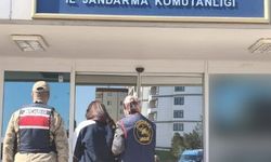 Şanlıurfa Jandarmasından Nefes Kesen Operasyon