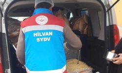 Hilvan’da 810 Vatandaşa Her Gün Sıcak Yemek Desteği Sağlanıyor