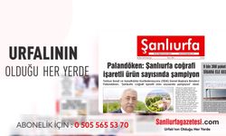 Şanlıurfa Basınında 19 Yıllık İstikrar: Şanlıurfa Gazetesi